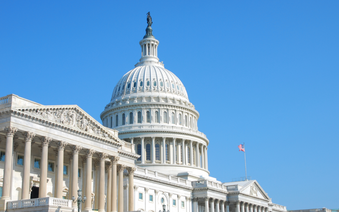 Understanding the October 2025 U.S. Government Shutdown: What It Means for You